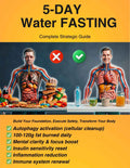 5-Day Water Fasting Guide – Proven Preparation, Daily Breakdown & Safe Refeed Plan
